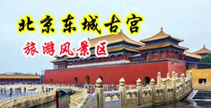 中文色欲密臀中国北京-东城古宫旅游风景区